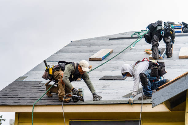 Professional Storm Damage Roof Repair technician working in Leonard, TX